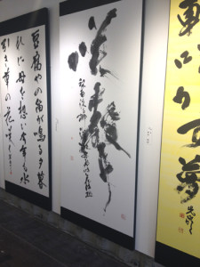 2013ビエンナーレ内覧会20