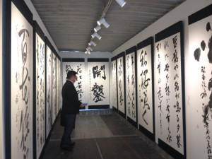 2013ビエンナーレ内覧会16